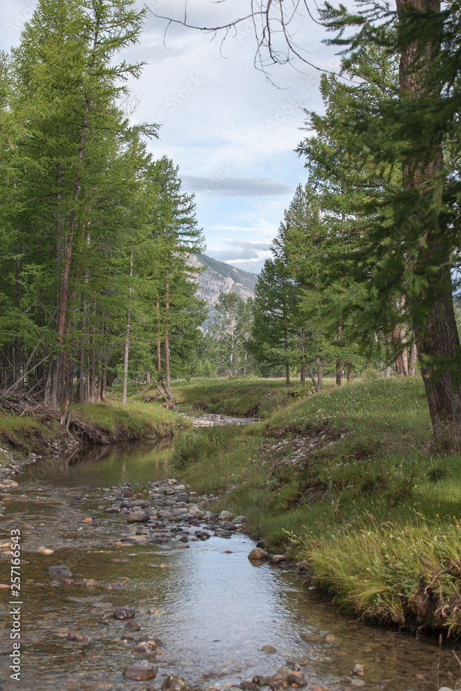 Obraz premium Nature, travel, recreation, river, mountains, wild animals, Russia