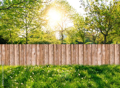 Tablou Canvas Wooden garden fence at backyard in spring