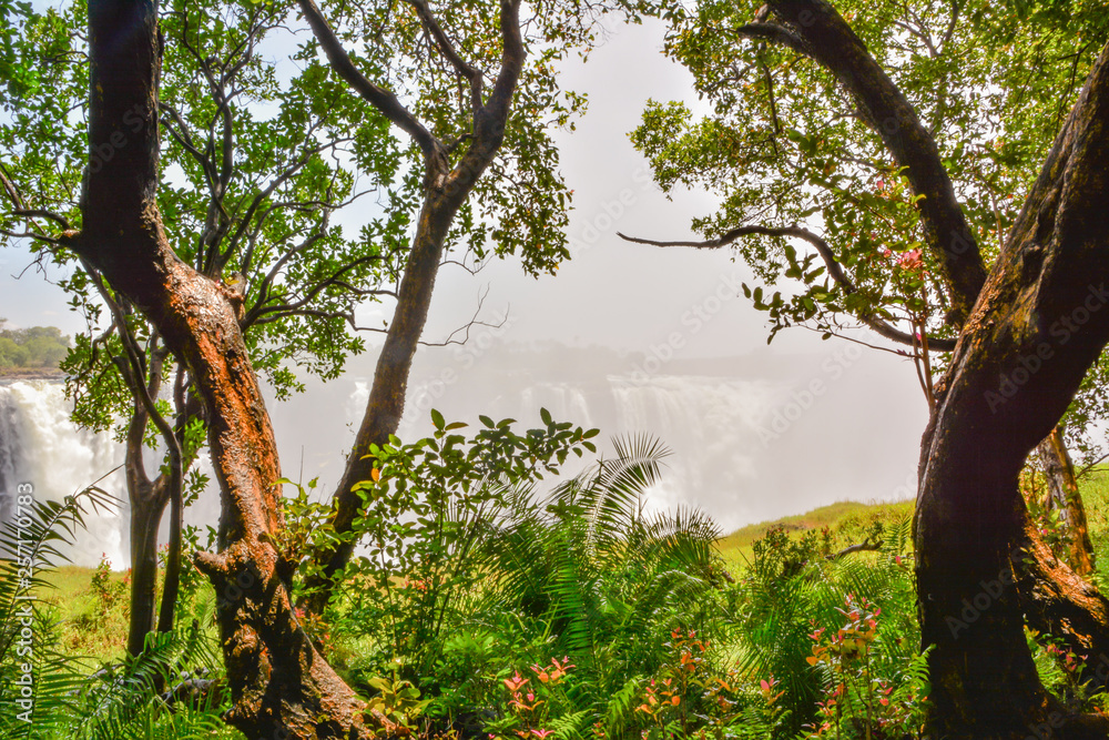 Fototapeta premium Victoriafälle sind ein Wasserfall nahe der Städte Victoria Falls in Simbabwe und Livingstone in Sambia Afrika
