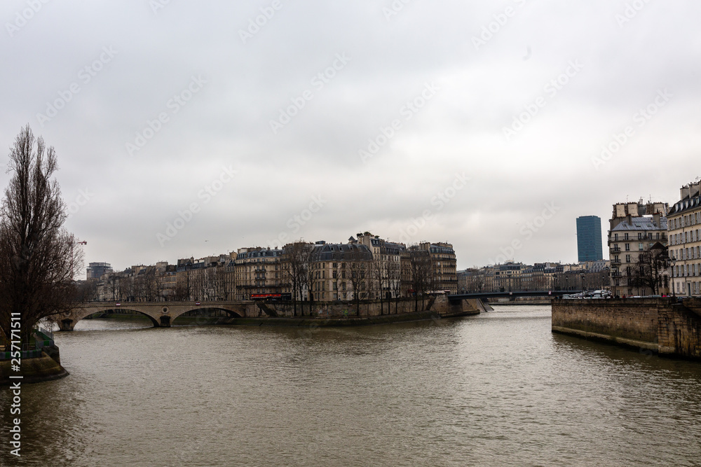 Obraz premium Seine, isle and buildings