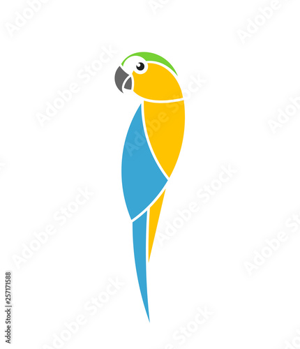 Blue and yellow macaw parrot. Tropical bird. Isolated parrot on white background