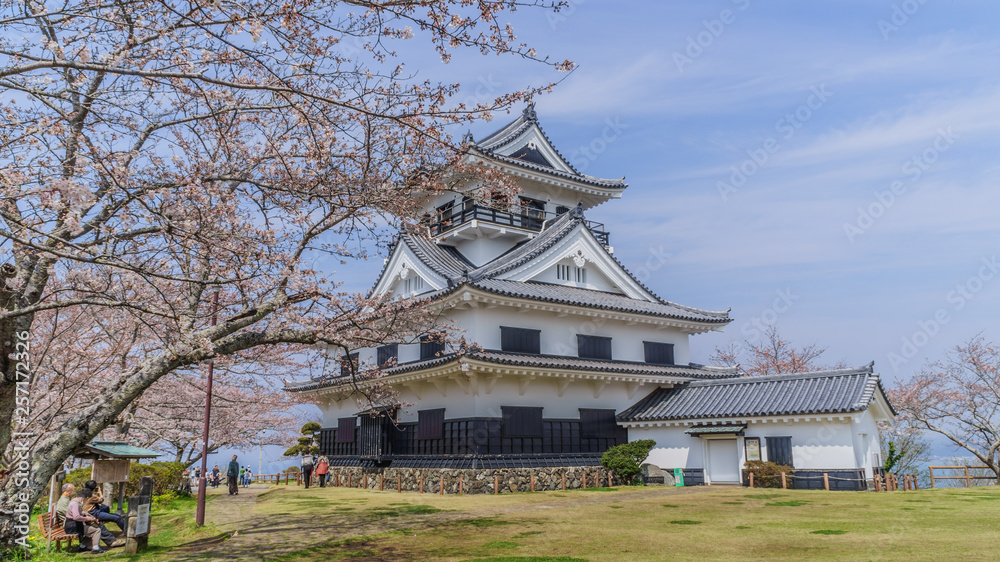 Naklejka premium 春の館山城の天守の風景