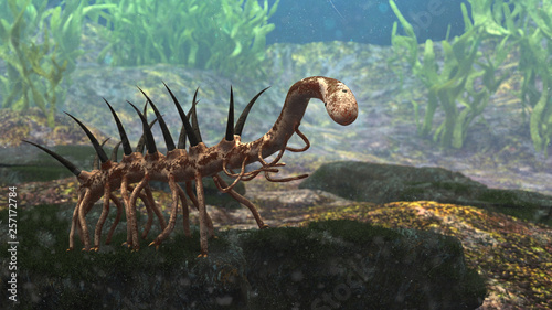 Hallucigenia, prehistoric aquatic animal from the Cambrian Period (3d paleoart rendering) photo
