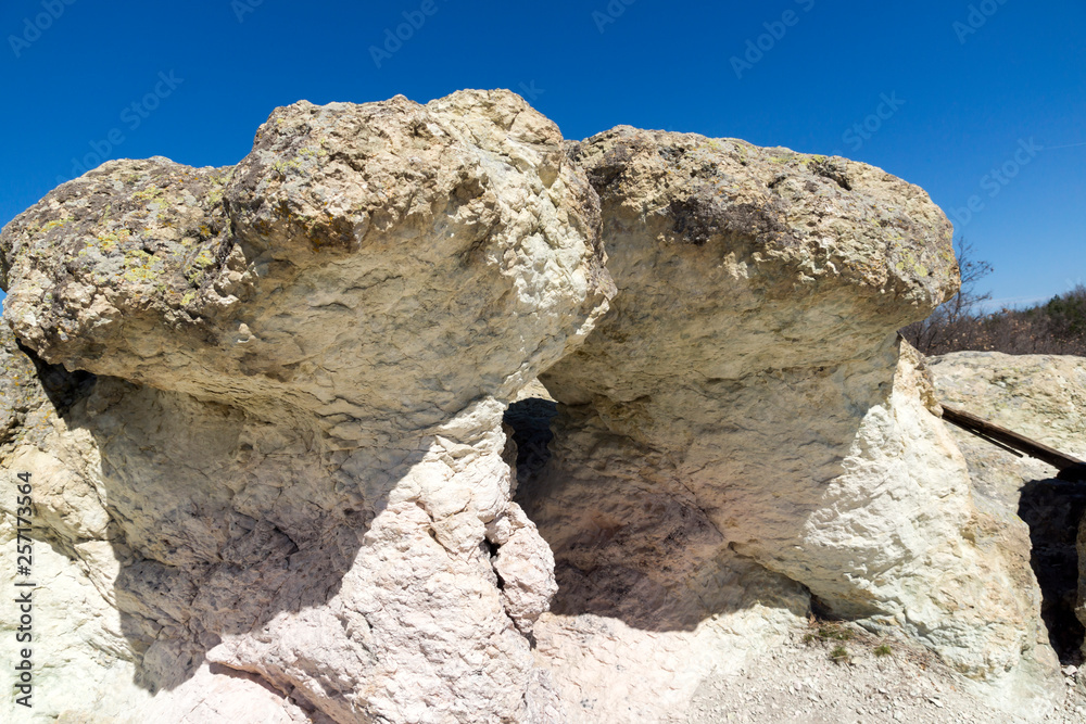 Amazing Landscape with Rock formation The Stone Mushrooms near Beli plast village, Kardzhali Region, Bulgaria