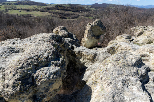 Amazing Landscape with Rock formation The Stone Mushrooms near Beli plast village, Kardzhali Region, Bulgaria