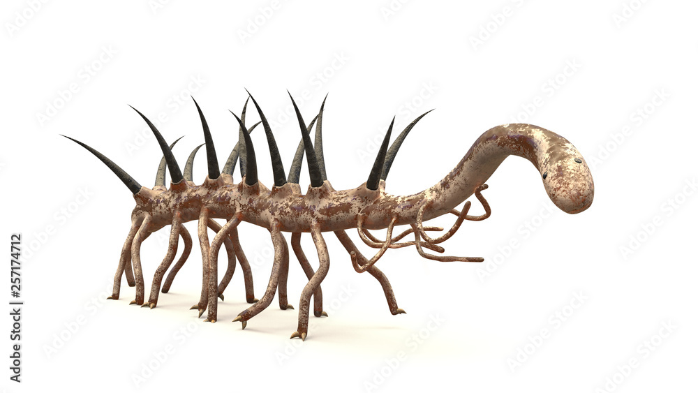Hallucigenia, prehistoric aquatic animal from the Cambrian Period isolated  on white background (3d paleoart illustration) Stock Illustration | Adobe  Stock