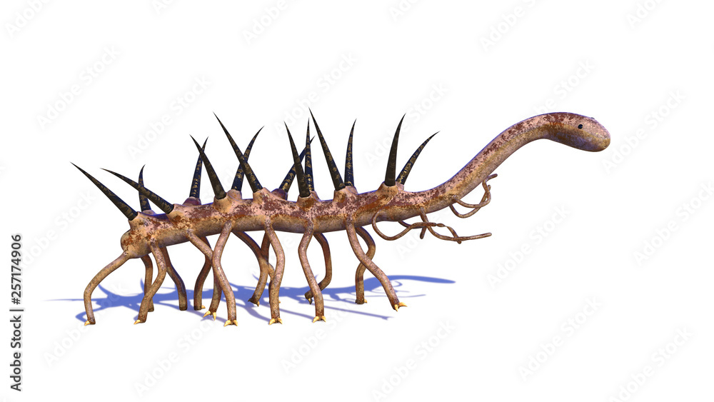 Fototapeta premium Hallucigenia, prehistoric aquatic animal from the Cambrian Period isolated on white background (3d science rendering)