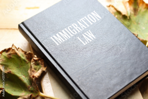 Slika na platnu Law book with Immigration Law word on table