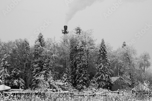 the smoke of a factory with winter trees