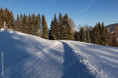 Winter landscape, the road goes into the distance, along the burned down snow-covered trees. Fabulous, mystical photo