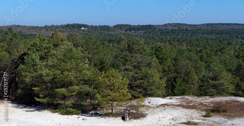 Mont blanc hill in Fontainebleau forest