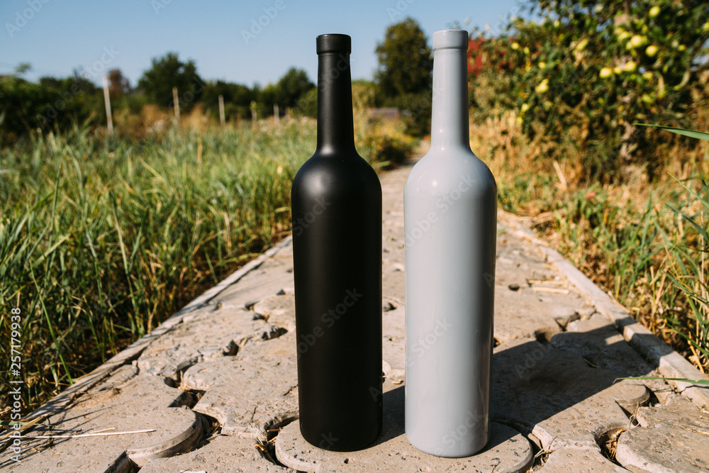 two black and gray bottles on the road from the tiles, the village, rural alcoholism, drunkenness. alcoholic illness. wine natural drink. wine