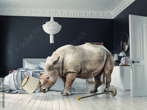 wild rhino in the luxury bedroom
