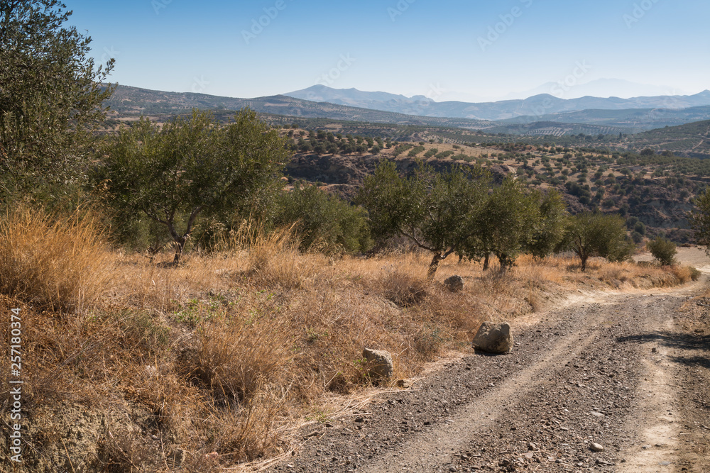 Landscape with a country road, Crete, Greece