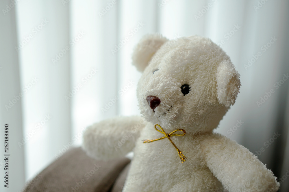 white teddy bear doll toy sit on a sofa couch