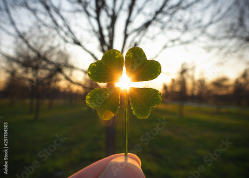quadrifoglio luce magica