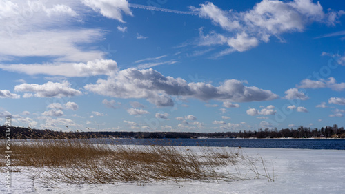 spring landscapes in the forest and on the river © Alexander