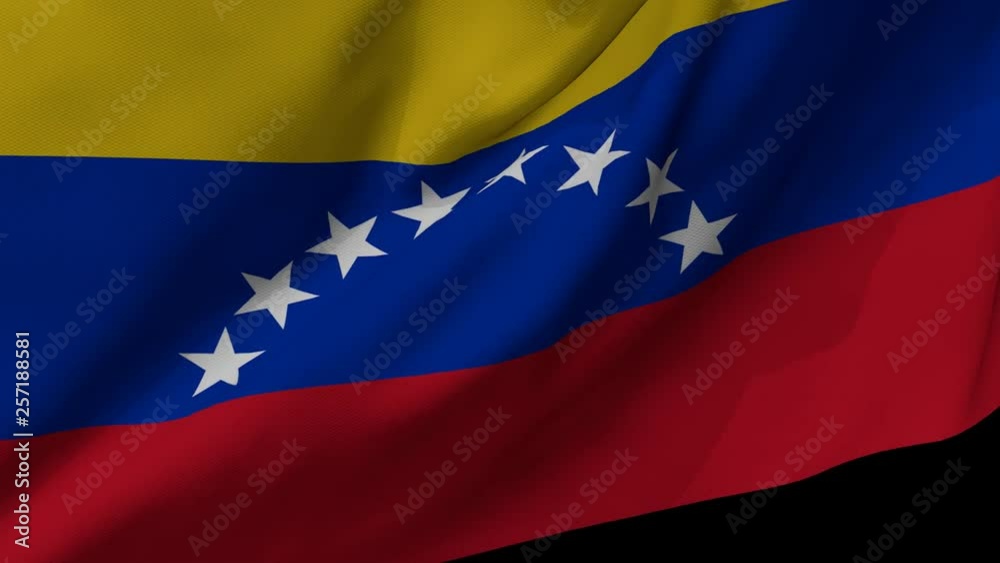 Venezuela  Flag Loop - Venezuela waving in the wind. Seamless loop with highly detailed fabric texture.