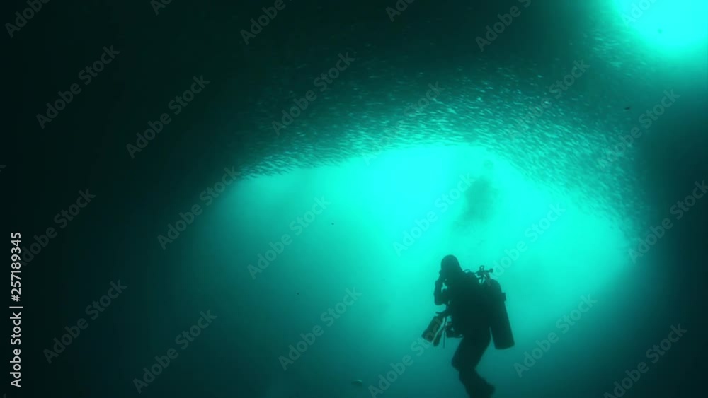 Diver under school of fish forms shape underwater. Diver under school of fish forms shape underwater.