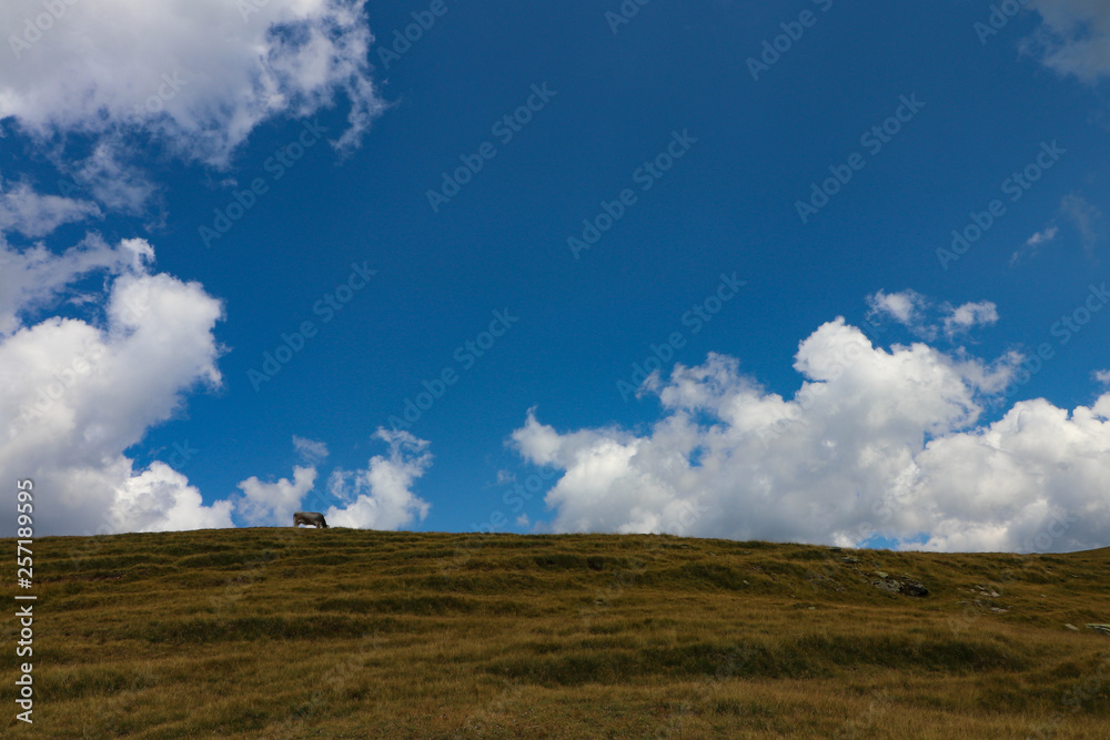 Obraz premium Meran 2000