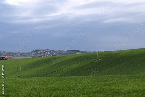 green field and grey sky,spring,hill,agriculture,rural,view,italy,cereals,crop,countryside