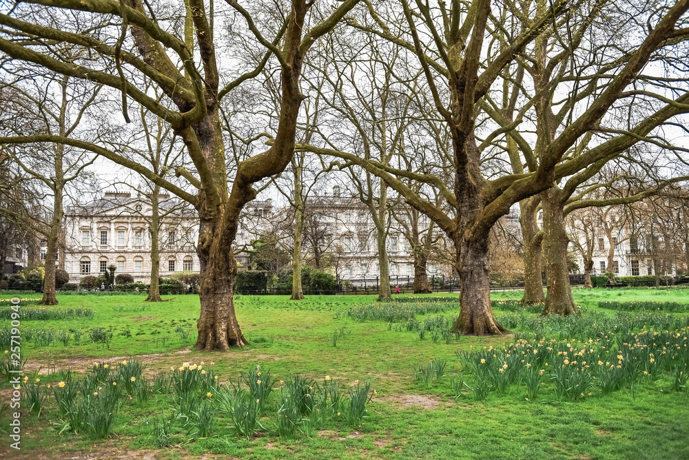 Beautiful Green Park and floral arrangements in front of Buckingham Palace in London. Beautiful Green Park and floral arrangements in front of Buckingham Palace in London.
