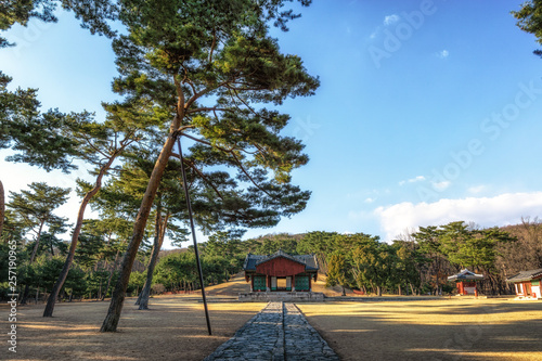 taereung royal tomb photo