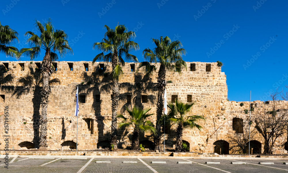 The fortification wall of the the Hospitallerian citadel, with palm trees in Akko, Israel, Middle East
