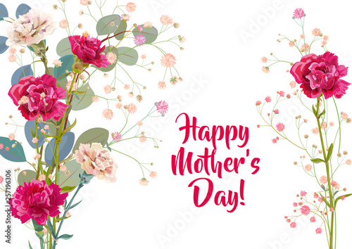 Horizontal Mother's Day card with carnation: red, pink, flowers, twigs gypsophile, leaves eucalyptus, white background. Templates for design, vintage botanical illustration in watercolor style, vector