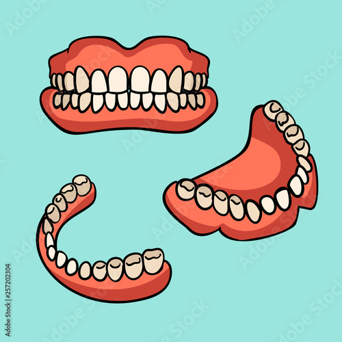 Dental prosthesis, tooth orthopedics sign. Dentures. Dental implant. Medicine symbol for websites, info graphics and print. Medical items. Vector illustration.