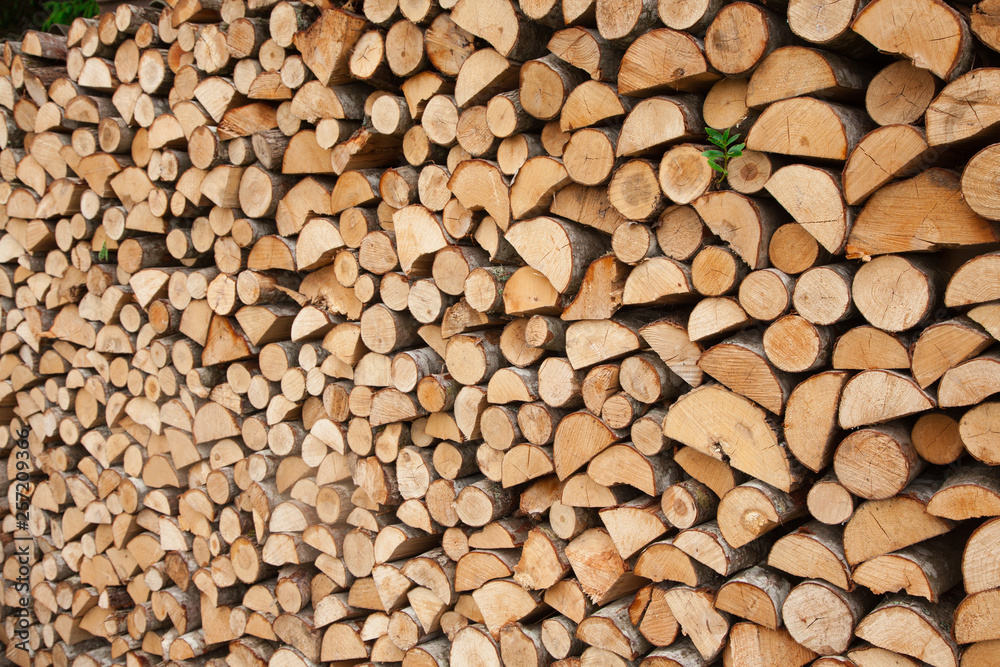 Firewood stacked in woodpile, texture Firewood stacked in woodpile, texture