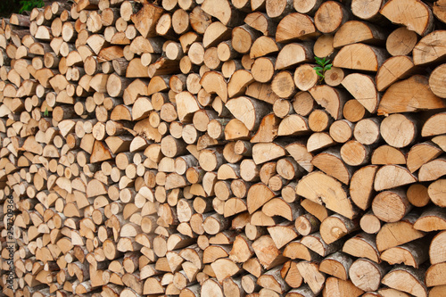 Firewood stacked in woodpile, texture