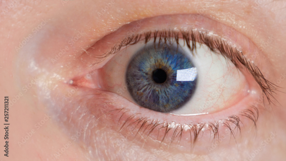 Human Eye Close Up