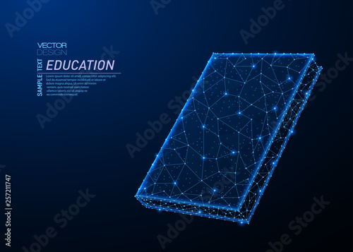 Abstract polygonal light design of book