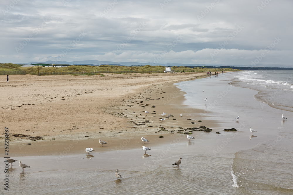 Beautiful sandy beach in St Andrews, Scotland. Beautiful sandy beach in St Andrews, Scotland.