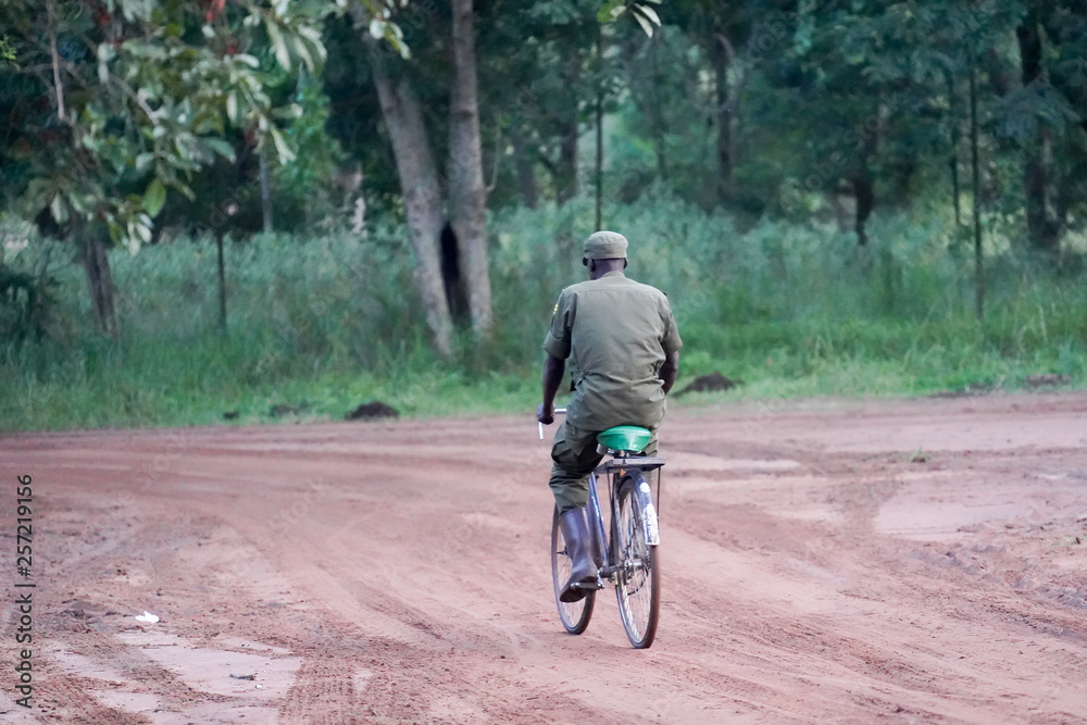 Obraz premium Ziwa park in Uganda