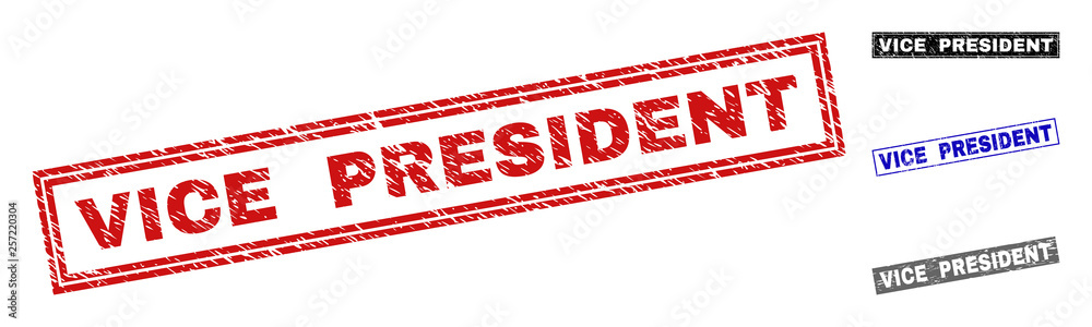 Grunge VICE PRESIDENT rectangle stamp seals isolated on a white background. Rectangular seals with grunge texture in red, blue, black and grey colors. Grunge VICE PRESIDENT rectangle stamp seals isolated on a white background. Rectangular seals with grunge texture in red, blue, black and grey colors.