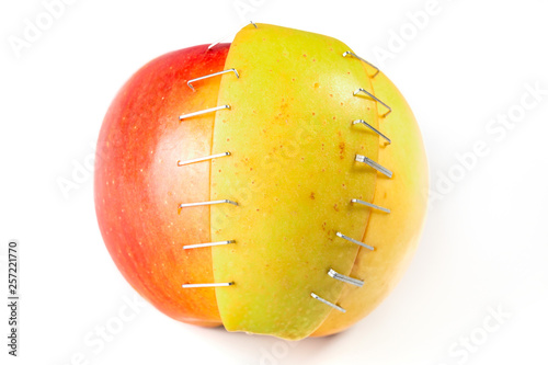 Concept on genetically modified products and breeding
