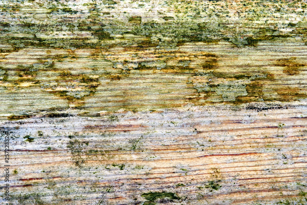 grunge texture of old weathered wood grunge texture of old weathered wood