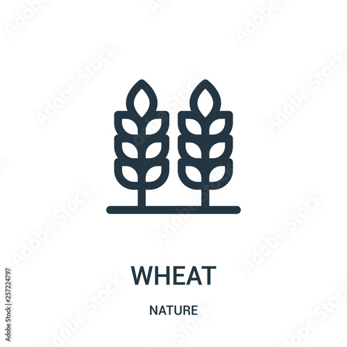 wheat icon vector from nature collection. Thin line wheat outline icon vector illustration. Linear symbol for use on web and mobile apps, logo, print media.