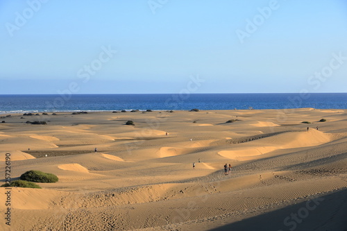 Sandy dunes in famous natural Maspalomas beach. Gran Canaria. Spain