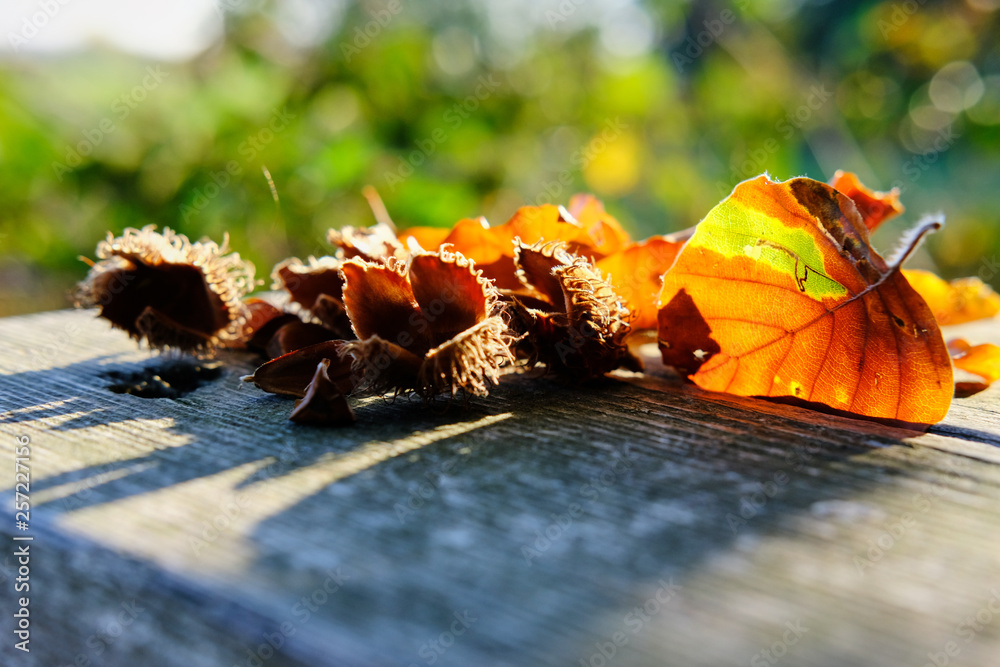 Winter Herbst Winter Herbst