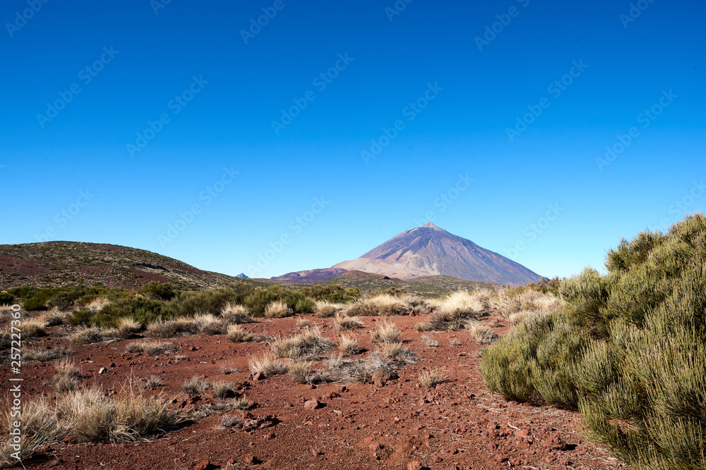 view of Teide volcano view of Teide volcano