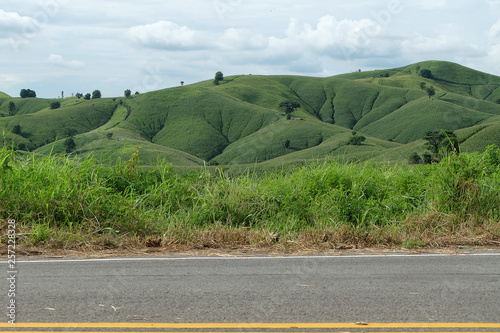 the mountains that full of corn field