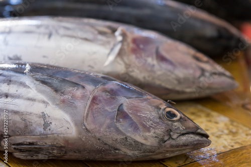 Fische, Markt