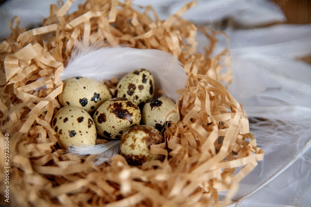 Easter Eggs in bird Nest on rustic wooden background. Spring, Easter or healthy organic food concept. Easter Eggs in bird Nest on rustic wooden background. Spring, Easter or healthy organic food concept.