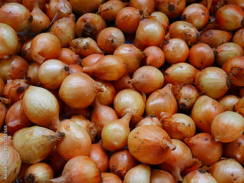 organic onion market,concept vegetable background organic onion market,concept vegetable background