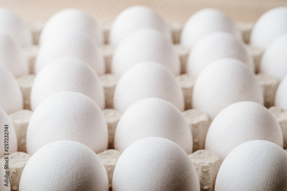 Many white chicken eggs food in tray box Many white chicken eggs food in tray box