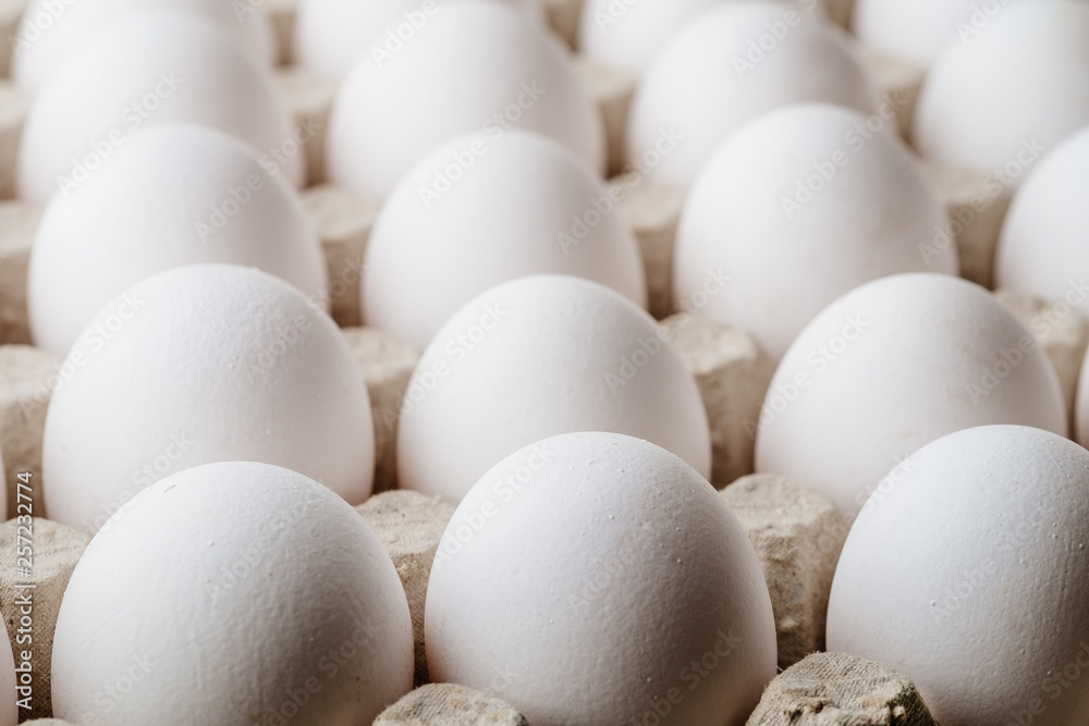 Many white chicken eggs food in tray box Many white chicken eggs food in tray box