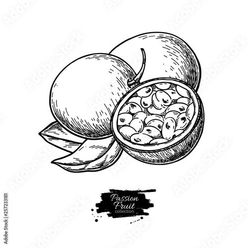 Passion fruit vector drawing. Hand drawn tropical food illustration. Engraved summer passionfruit.